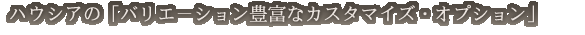 �n�E�V�A�́u�o���G�|�V�����L�x�ȃJ�X�^�}�C�Y�E�I�v�V�����v